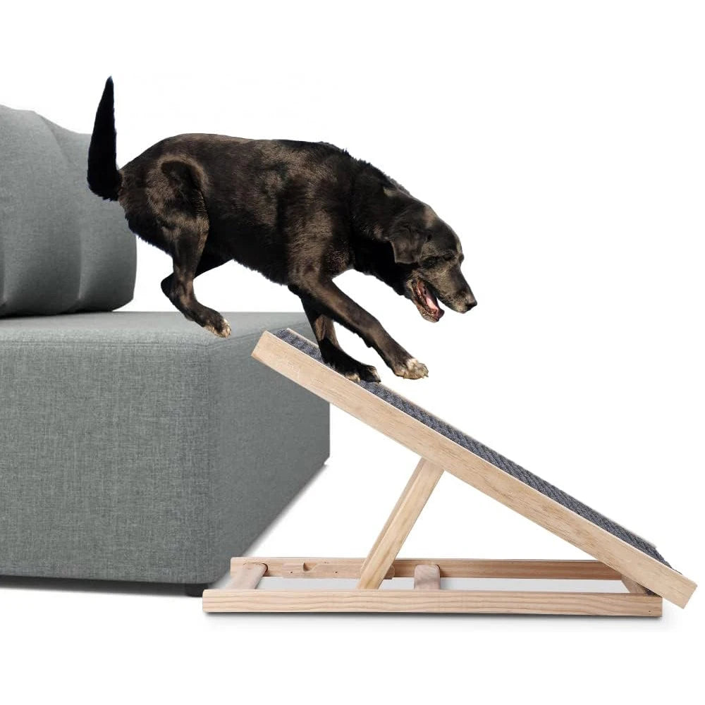 Ramp for Dogs and Cats